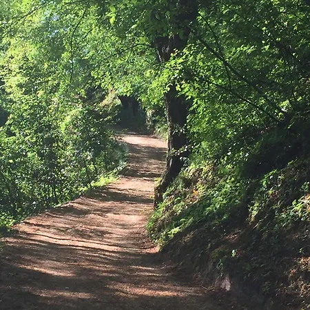 Сasa de vacaciones Casa Zuino