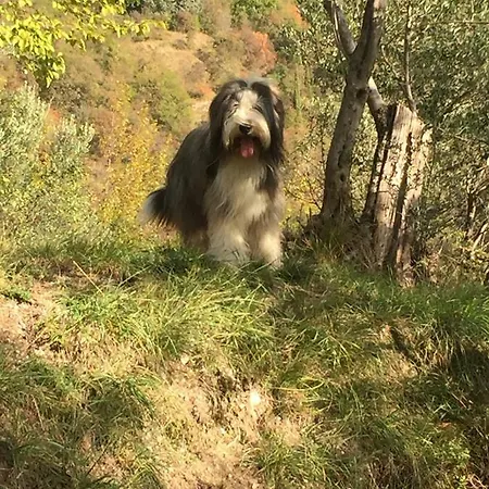 Casa Zuino Сasa de vacaciones Gargnano