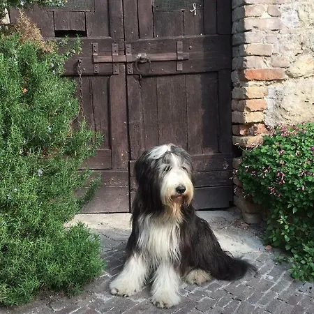 Сasa de vacaciones Casa Zuino