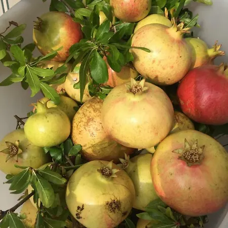 Casa Zuino Сasa de vacaciones *